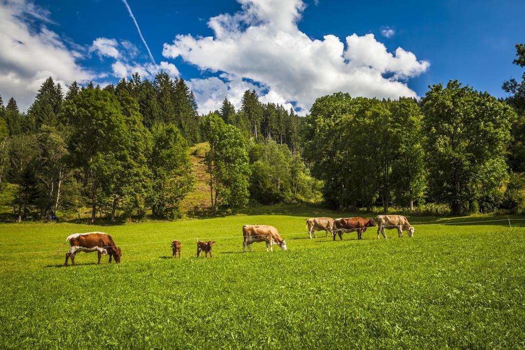 Ferienwohnung Oergenbauer Saalfelden Exterior foto